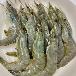 【破盤賠本價】大號藍鑽蝦 30/40 2KG【虧本特價不計入免運】